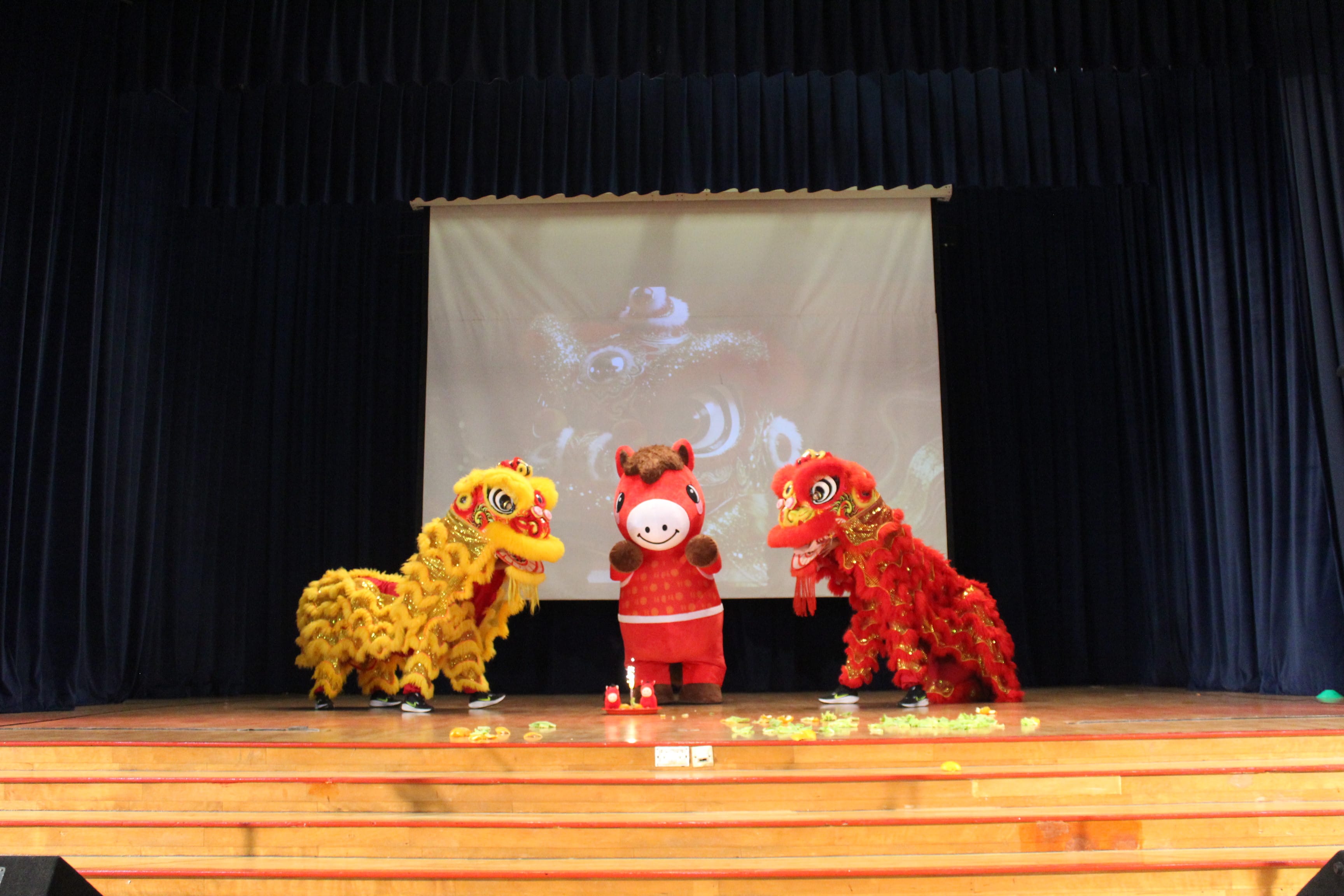 Lion Dance at Beacon